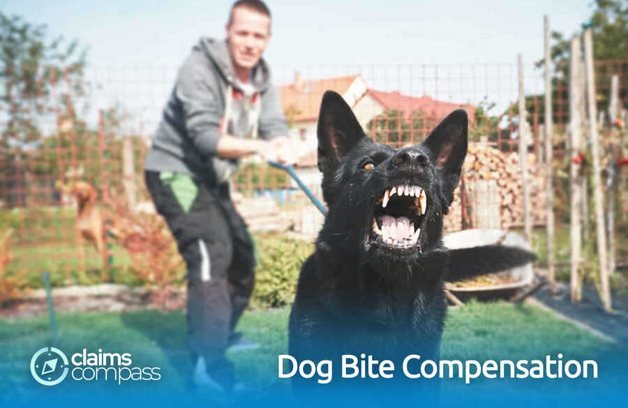 Dog Bite Compensation